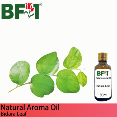 Natural Aroma Oil (AO) - Bidara Leaf Aroma Oil  - 50ml