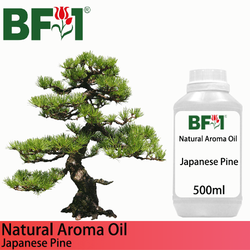 Natural Aroma Oil (AO) - Pine - Japanese Pine Aroma Oil  - 500ml
