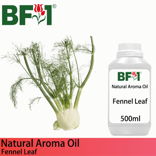 Natural Aroma Oil (AO) - Fennel Leaf Aroma Oil  - 500ml