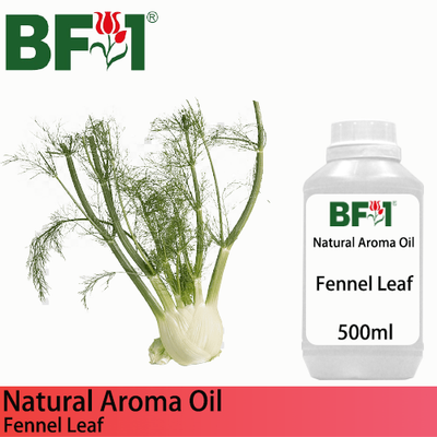 Natural Aroma Oil (AO) - Fennel Leaf Aroma Oil  - 500ml
