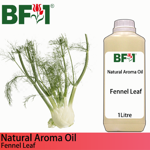 Natural Aroma Oil (AO) - Fennel Leaf Aroma Oil - 1L