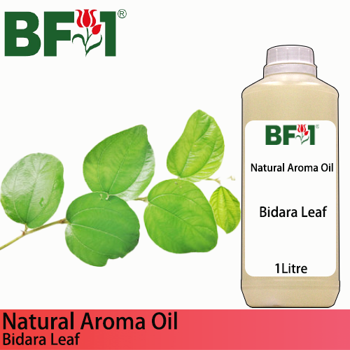 Natural Aroma Oil (AO) - Bidara Leaf (Zizyphus Mauritiana) Aroma Oil  - 1L