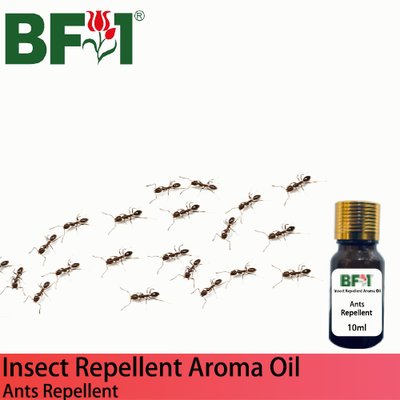 Natural Aroma Oil (AO) - Ants Repellent Aroma Oil - 10ml