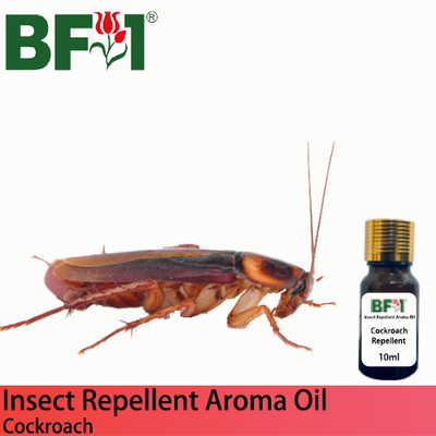Natural Aroma Oil (AO) - Cockroach Repellent Aroma Oil - 10ml