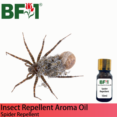 Natural Aroma Oil (AO) - Spider Repellent Aroma Oil - 10ml