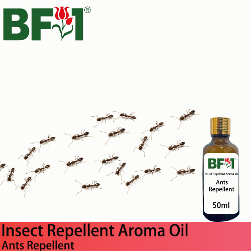 Natural Aroma Oil (AO) - Ants Repellent Aroma Oil - 50ml