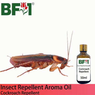 Natural Aroma Oil (AO) - Cockroach Repellent Aroma Oil - 50ml
