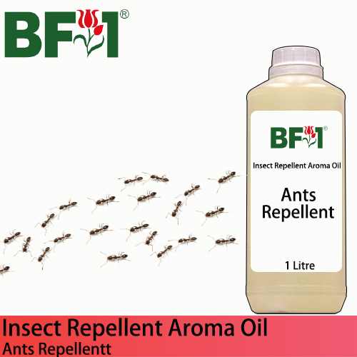 Natural Aroma Oil (AO) - Ants Repellent Aroma Oil - 1L