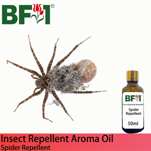 Natural Aroma Oil (AO) - Spider Repellent Aroma Oil - 50ml