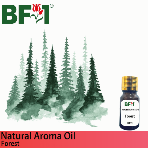 Natural Aroma Oil (AO) - Forest Aura Aroma Oil - 10ml