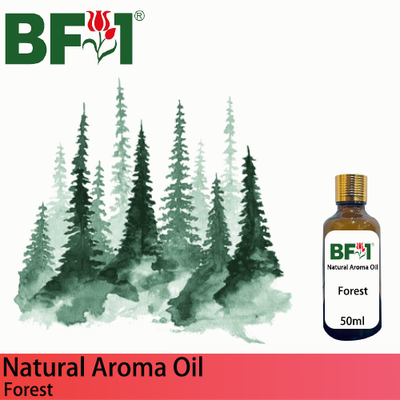 Natural Aroma Oil (AO) - Forest Aura Aroma Oil - 50ml