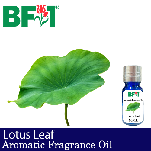 Aromatic Fragrance Oil (AFO) - Lotus Leaf - 10ml