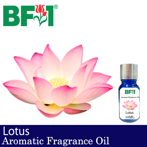 Aromatic Fragrance Oil (AFO) - Lotus - 10ml