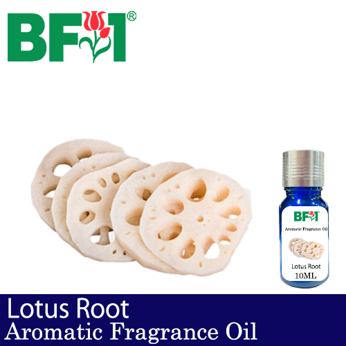 Aromatic Fragrance Oil (AFO) - Lotus Root - 10ml