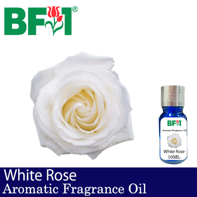 Aromatic Fragrance Oil (AFO) - White Rose - 10ml