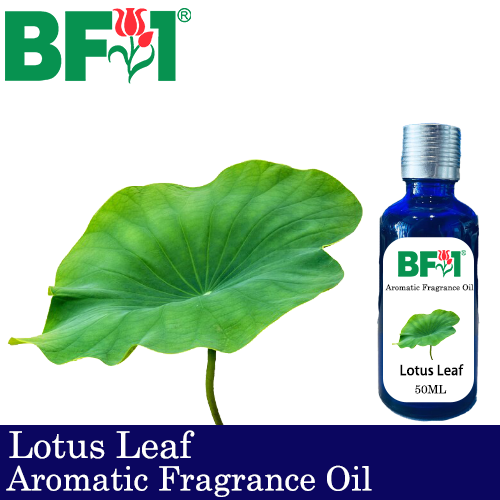 Aromatic Fragrance Oil (AFO) - Lotus - 50ml