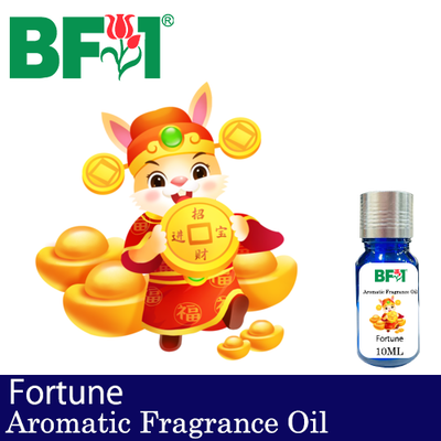 Aromatic Fragrance Oil (AFO) - Fortune - 10ml