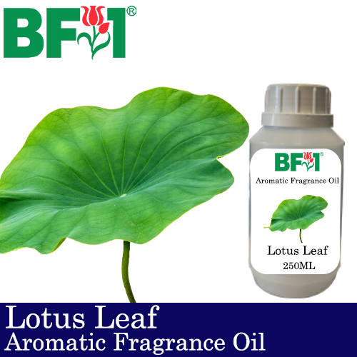 Aromatic Fragrance Oil (AFO) - Lotus Leaf - 250ml