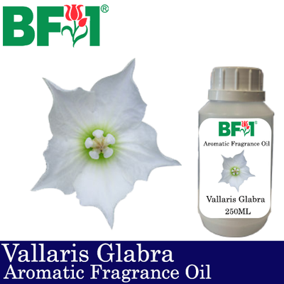 Aromatic Fragrance Oil (AFO) - Vallaris Glabra - 250ml