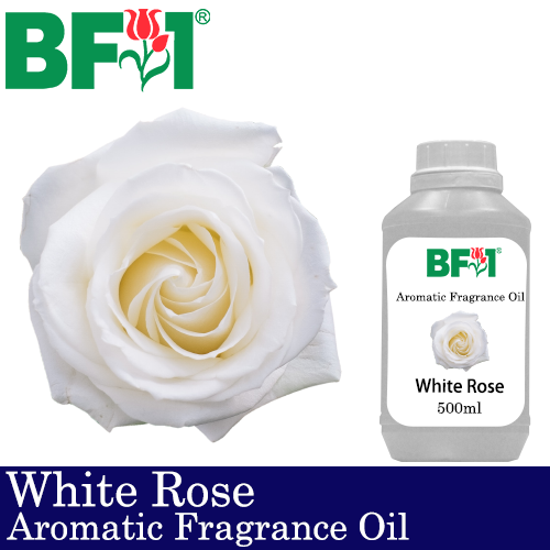 Aromatic Fragrance Oil (AFO) - White Rose - 500ml