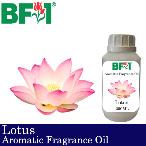 Aromatic Fragrance Oil (AFO) - Lotus - 250ml