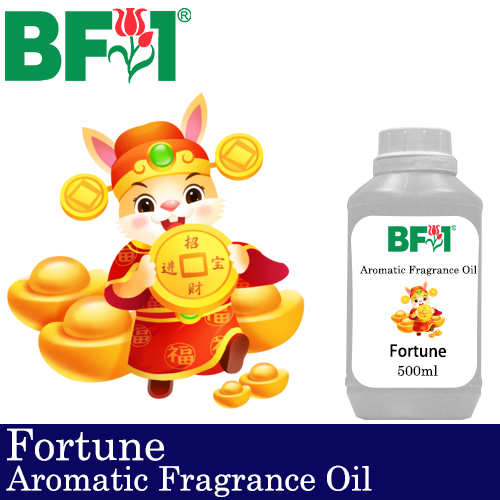 Aromatic Fragrance Oil (AFO) - Fortune - 500ml