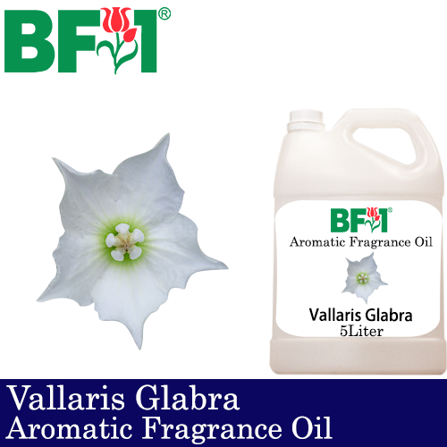 Aromatic Fragrance Oil (AFO) - Vallaris Glabra - 5L
