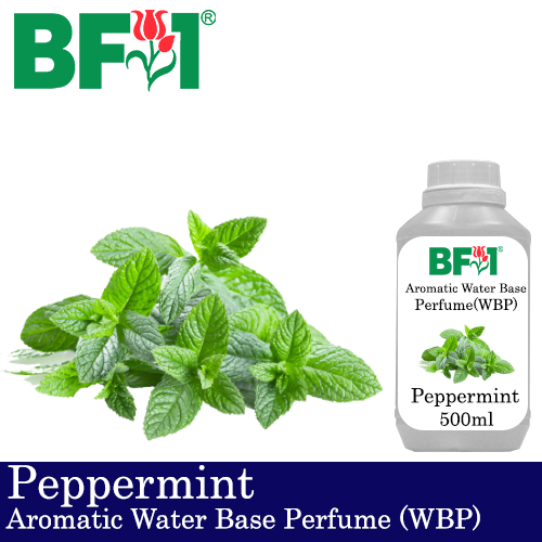 Aromatic Water Base Perfume (WBP) - Peppermint - 500ml Diffuser Perfume