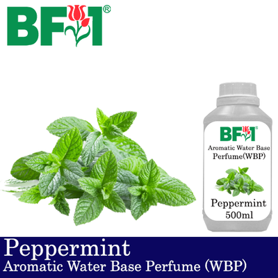 Aromatic Water Base Perfume (WBP) - Peppermint - 500ml Diffuser Perfume