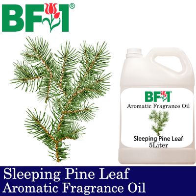 Aromatic Fragrance Oil (AFO) - Sleeping Pine Leaf - 5L Aromatic Fragrance Oil (AFO) - Sleeping Pine Leaf - 5L