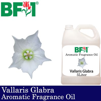 Aromatic Fragrance Oil (AFO) - Vallaris Glabra - 5L Aromatic Fragrance Oil (AFO) - Vallaris Glabra - 5L