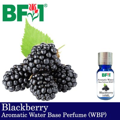 Aromatic Water Base Perfume (WBP) - Blackberry - 10ml Diffuser Perfume