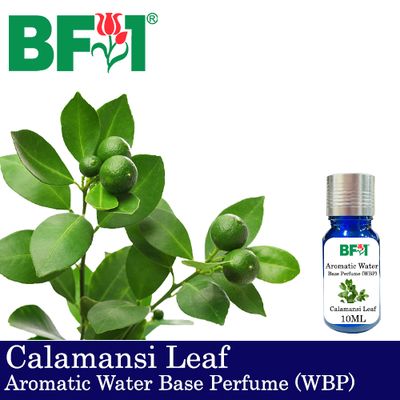 Aromatic Water Base Perfume (WBP) - Calamansi Leaf - 10ml Diffuser Perfume