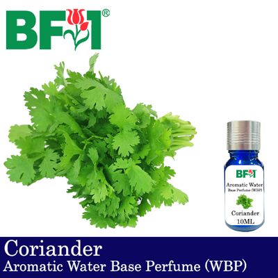 Aromatic Water Base Perfume (WBP) - Coriander - 10ml Diffuser Perfume