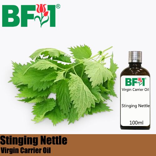 VCO - Stinging Nettle Virgin Carrier Oil - 100ml