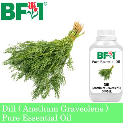 Pure Essential Oil (EO) - Dill ( Anethum Graveolens ) Essential Oil - 500ml