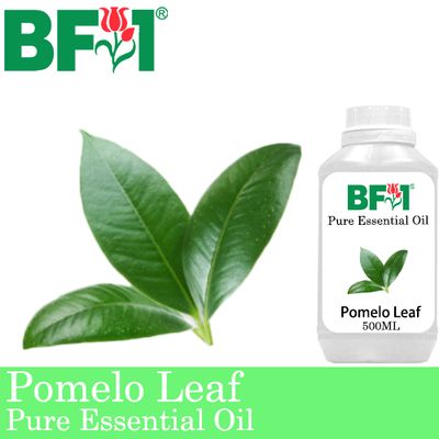 Pure Essential Oil (EO) - Pomelo Leaf Essential Oil - 500ml