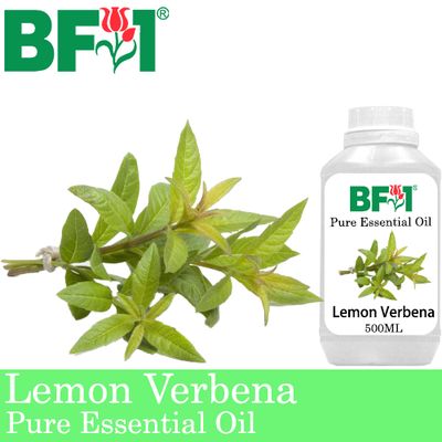 Pure Essential Oil (EO) - Lemon Verbena Essential Oil - 500ml