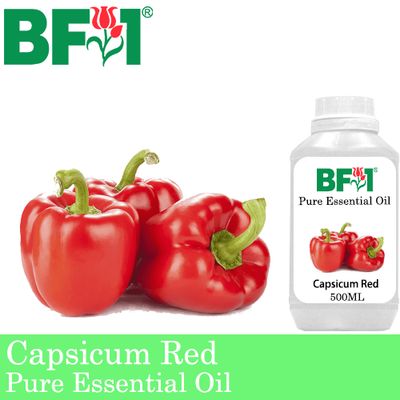 Pure Essential Oil (EO) - Capsicum Red Essential Oil - 500ml