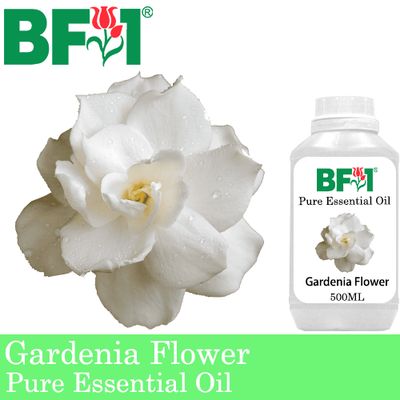 Pure Essential Oil (EO) - Gardenia Flower Essential Oil - 500ml
