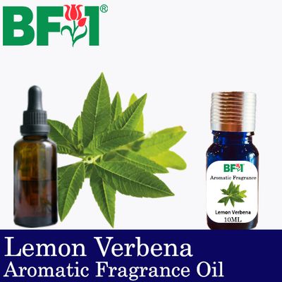 Aromatic Fragrance Oil (AFO) - Lemon Verbena - 10ml