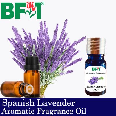 Aromatic Fragrance Oil (AFO) - Spanish Lavender - 10ml