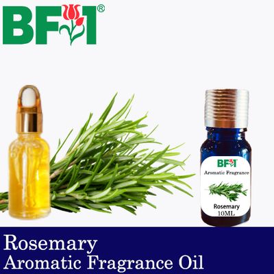 Aromatic Fragrance Oil (AFO) - Rosemary - 10ml