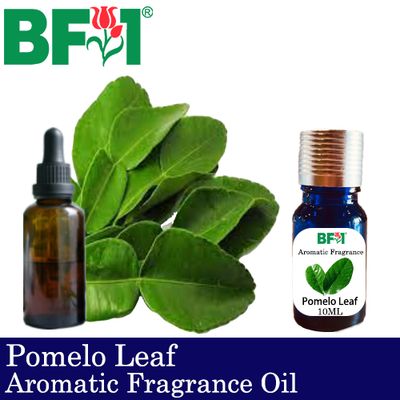 Aromatic Fragrance Oil (AFO) - Pomelo Leaf - 10ml