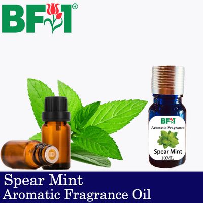 Aromatic Fragrance Oil (AFO) - Spear Mint - 10ml