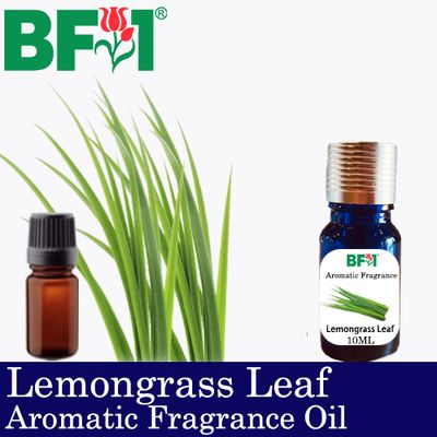 Aromatic Fragrance Oil (AFO) - Lemongrass Leaf - 10ml