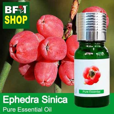 Pure Essential Oil (EO) - Ephedra Sinica Essential Oil - 10ml