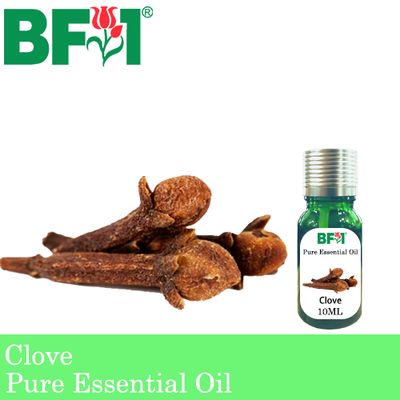 Pure Essential Oil (EO) - Clove Essential Oil - 10ml