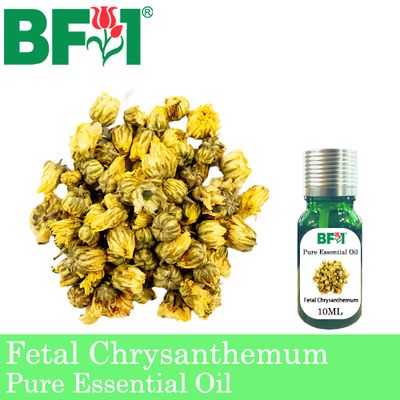 Pure Essential Oil (EO) - Fetal Chrysanthemum Essential Oil - 10ml