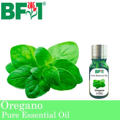 Pure Essential Oil (EO) - Oregano ( Origanum Vulgare ) Essential Oil - 10ml